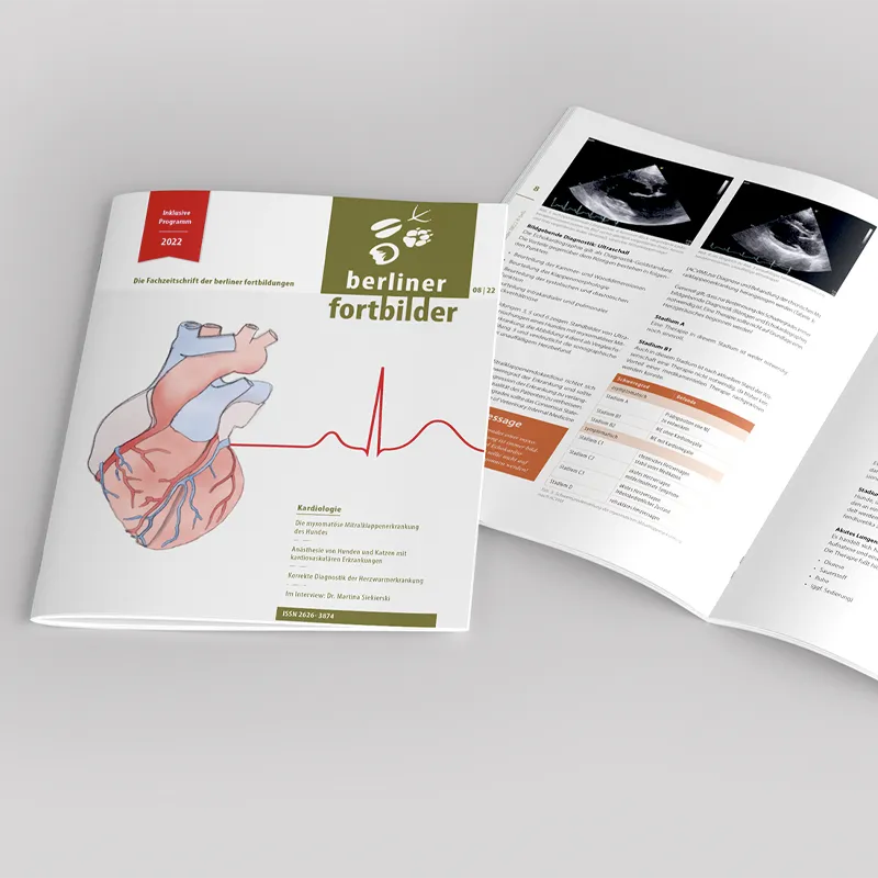 berliner fortbildungen – Fortbildung für Tiermediziner:innen