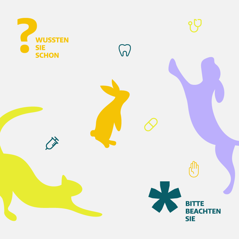 Praxis für Kleintiere – Dr. med. vet. Maria Stobbe